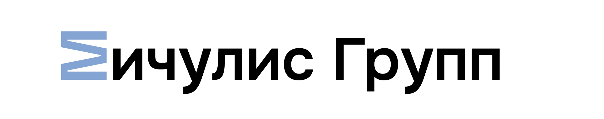 Мичулис Групп